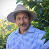 Aurelio Villatoro is the founder of the Villaure coffee farm, pictured standing next to a lush coffee tree.